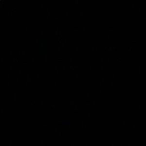 Meet your Posher, Maham